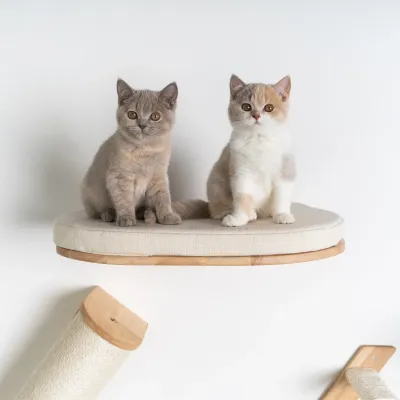 Wandmeubel Klimmuur Kat – RHR Quality Wallbed XXL Crème