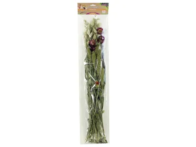 Esve Pet Bouquet Weidegewas