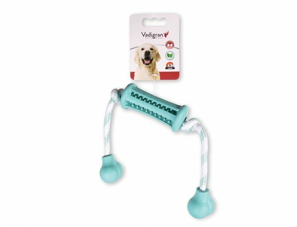 Spgd hond rubber Dental fun stick&touw munt 37cm