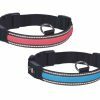 LED Halsband Flash Mesh blauw M 36-51cmx25mm USB