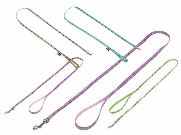 Leiband hond nylon Schotse Ruit blauw 10mmx120cm