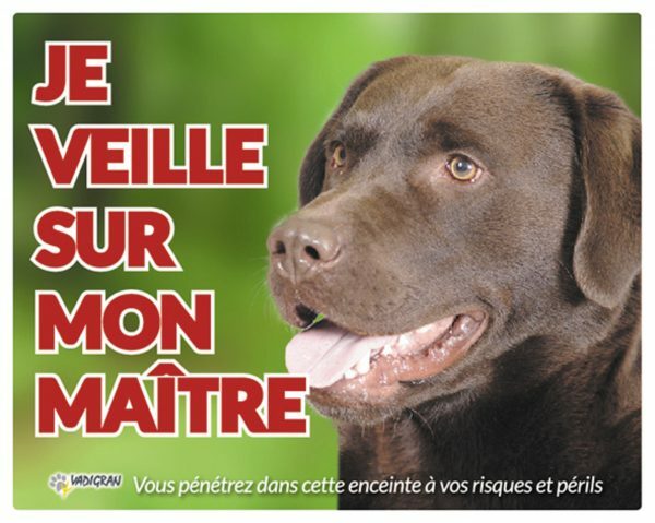 Waakbord foto hond Labrador Bruin FR