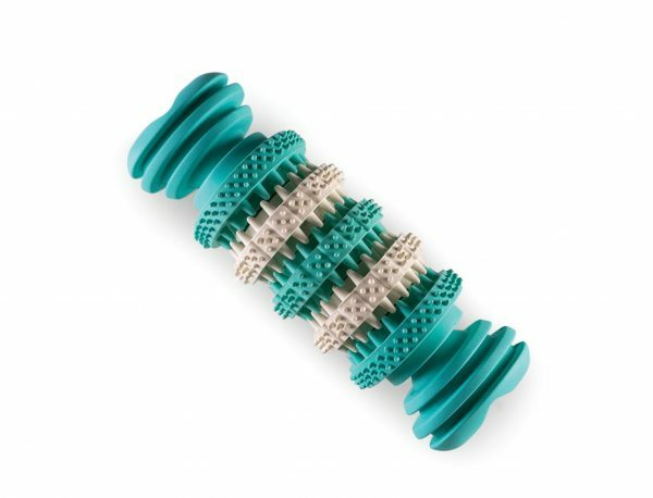 Speelgoed hond rubber Dental fun been munt 15cm