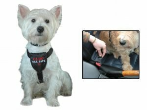 Hondenautogordel Clix Car Safe XS
