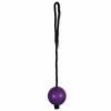 Speelgoed hond rubber bal met touw paars Ø6cm