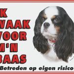 Volgende productafbeelding