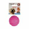 Speelgoed hond TPR bal Red Frutti 6,4cm