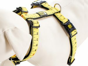 Harnas Ruler XS nek 24-39cm borst 32-40cm