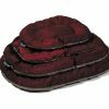 Kussen All Season bordeaux 45x30cm