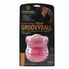 Starmark EverlastingTreat Groovy BallØ12x13,5cm L