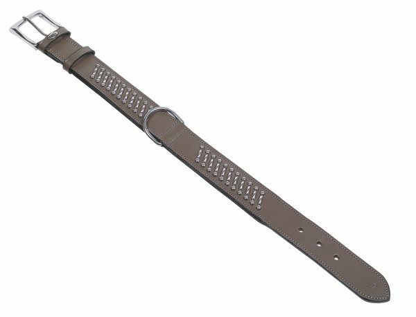Halsband hond leder Shiwa taupe 70cmx50mm