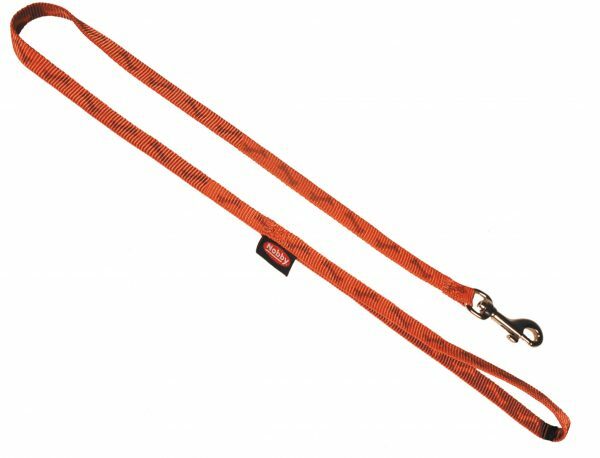 Leiband hond nylon Been oranje 20mmx200cm