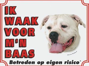 Wit waakbord Argijntijnse Dog NL