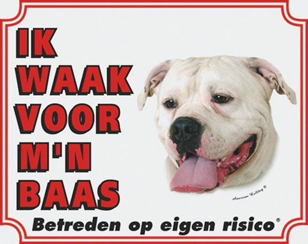 Wit waakbord Argijntijnse Dog NL