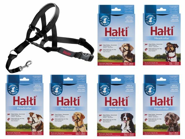 HALTI Headcollar zwart 3