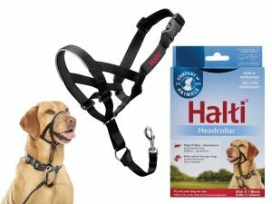 HALTI Headcollar zwart 3