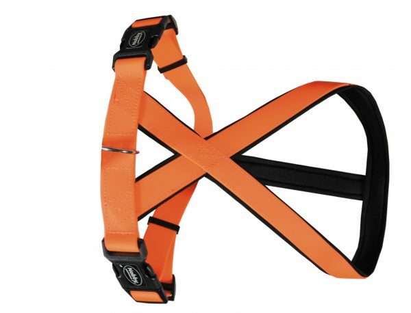 Harnas hond Biothane oranje 20mmx35-50cm