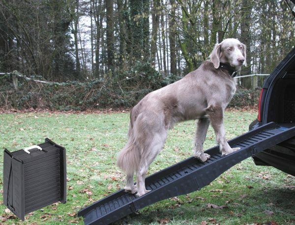 Hondloopplank plooibaar ABS grijs 152x40cm