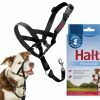 HALTI Headcollar zwart 2