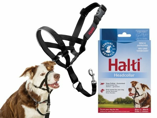 HALTI Headcollar zwart 2