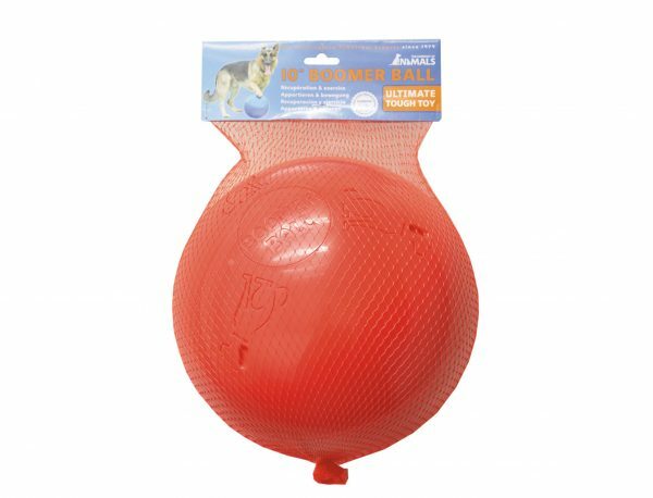 Speelgoed hond Boomer bal blauw Ø25cm