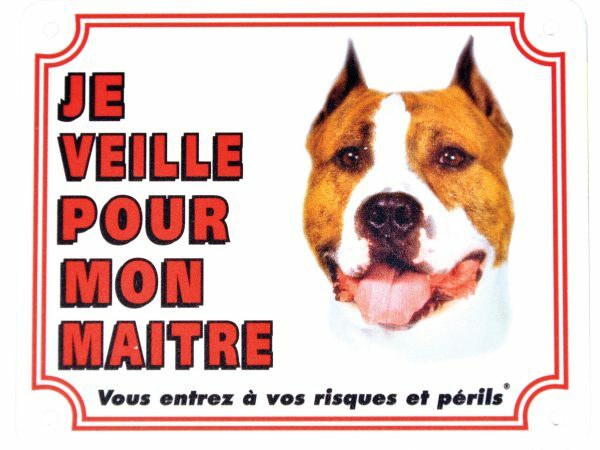 Waakbord S American staffordshire FR