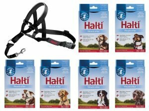 HALTI Headcollar zwart 1