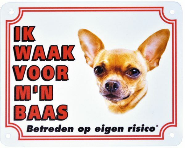 Waakbord  Chihauhua kortharig NL