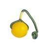 Starmark Swing n Fling Fetch Ball 8x6x28cm M