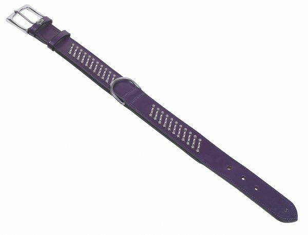 Halsband hond leder Shiwa paars 55cmx40mm