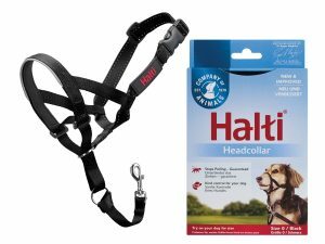 HALTI Headcollar zwart 0