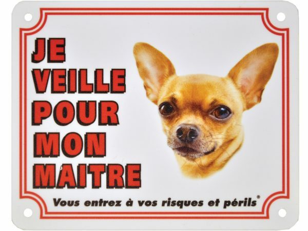 Waakbord S Chihuahua kortharig FR