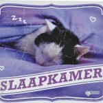 Volgende productafbeelding