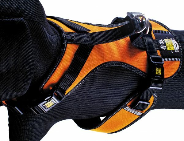 HR matrix Splash Orange nek 48-57cm borst 64-75cm