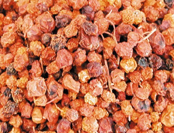 Lijsterbessen 2,5 kg