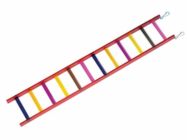 Speelgoed vogel plexi ladder12 sporten 61 x10cm