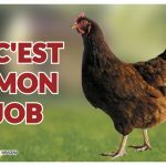 Volgende productafbeelding