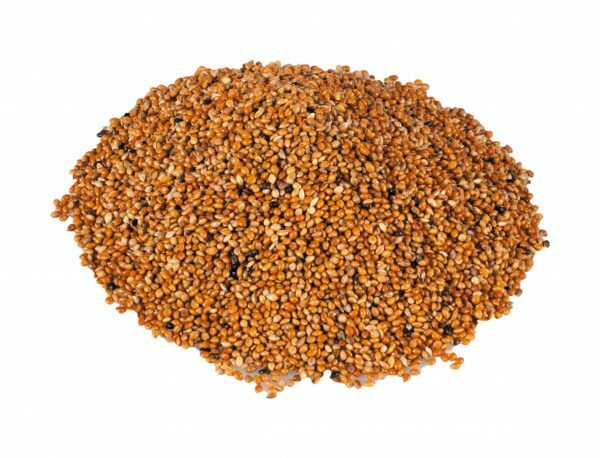 Panis rood 1kg