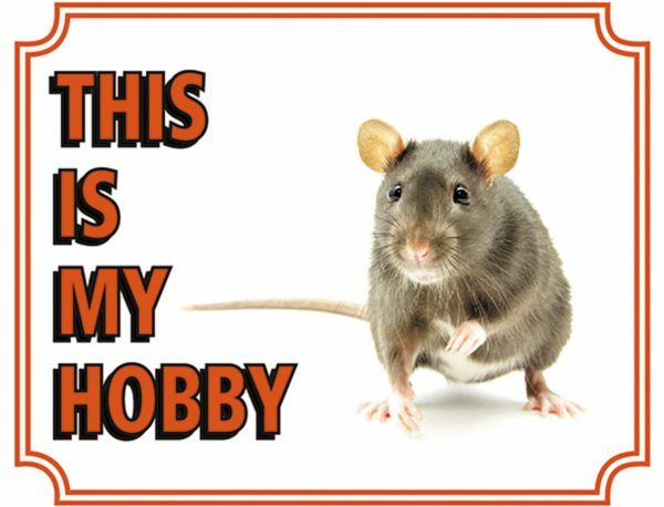 Waakbord PVC Rat EN