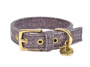 Halsband hond StØv donkergrijs 45cmx20mm M