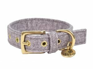 Halsband hond StØv lichtgrijs 35cmx20mm XS