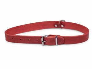 Halsband geolied leder rood 52cmx22mm L