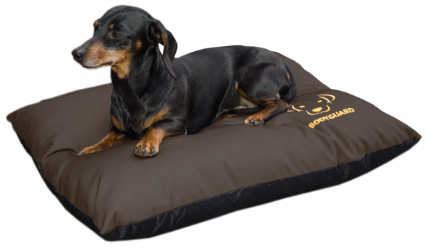 Bodyguard Elegant Pillow S Brown