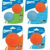 Chuckit Fetch Ball M 6 cm 1 Pack