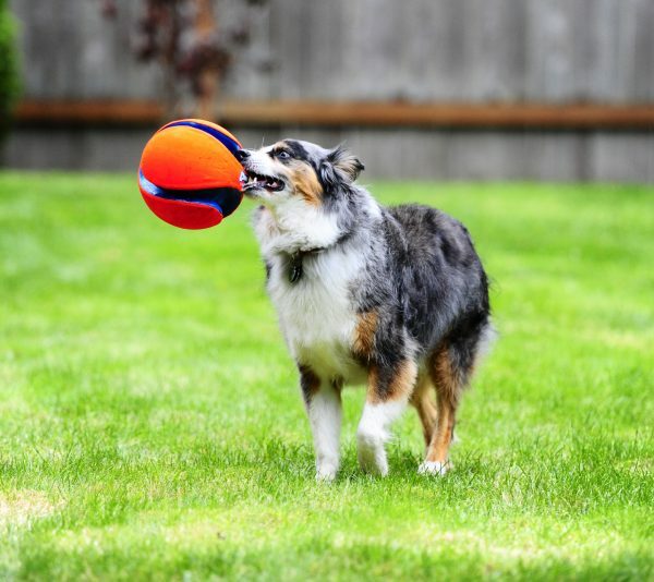 Chuckit Kick Fetch S 14 cm
