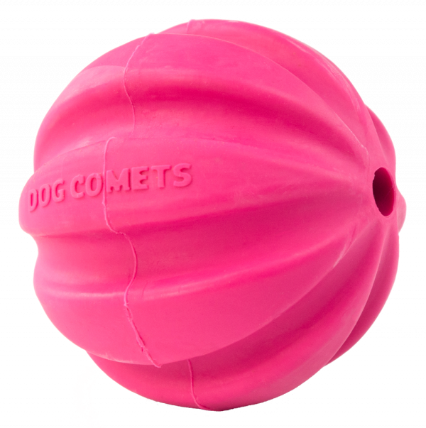 Dog Comets Ball Halley Roze