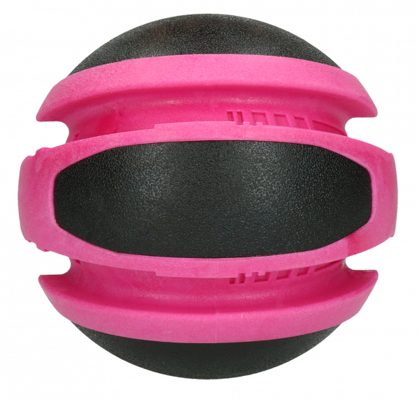 Dog Comets Planet Jupiter Roze