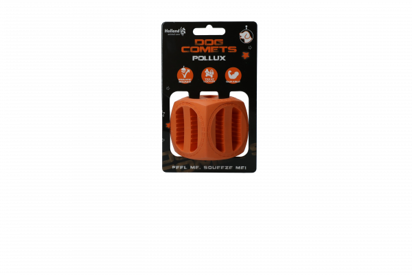 Dog Comets Pollux Oranje
