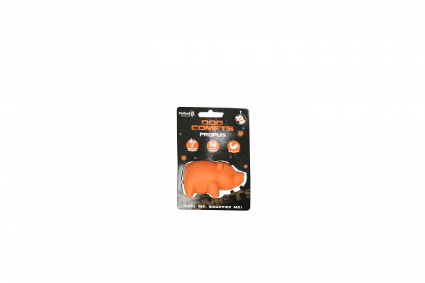 Dog Comets Propus Oranje
