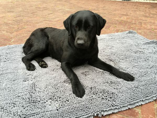 Doggy Dry Doormat L